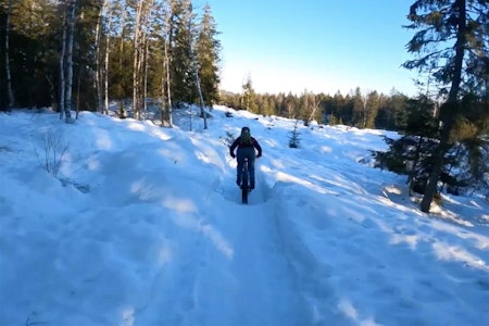 FINE FORHOLD: Det var optimale forhold for ivrige fatbike-syklister på Romeriksåsen i helgen. Foto: Gjertrud Bø fatbike romeriksåsen