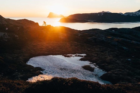 KORTREIST MORO: Ørnfløya holder bare noen hundre høydemeter over havet, men byr allikevel på flott utsikt og ligger pent mottakelig for midnattssolen. Torgrim Sollid ruller på siste stykket før toppen.  stisykling yttersia Tromsø