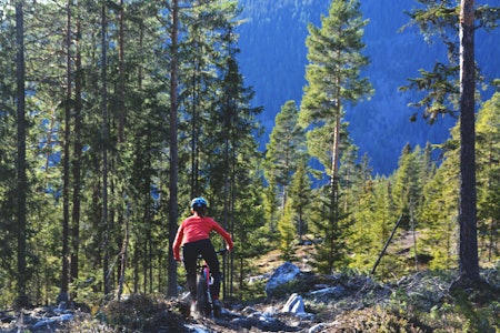 stisykling i ringebu, gudbrandsdalen