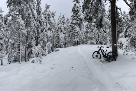 stisykling vinter østmarka Trulsrunden