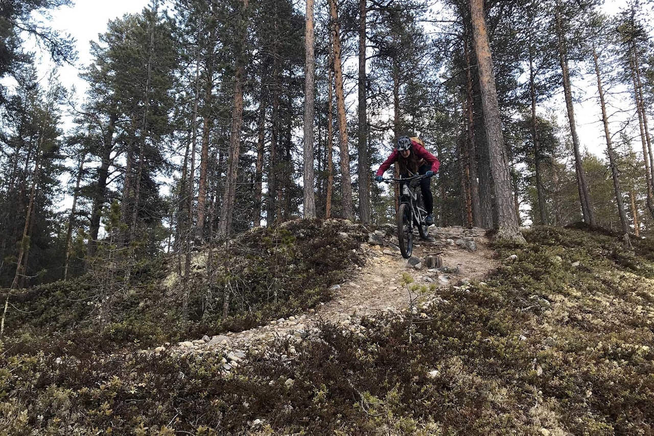 SESONGSTART PÅ RØROS: Flere av stiene i Mølmannsdalen på Røros er frie for snø. Foto: Privat
