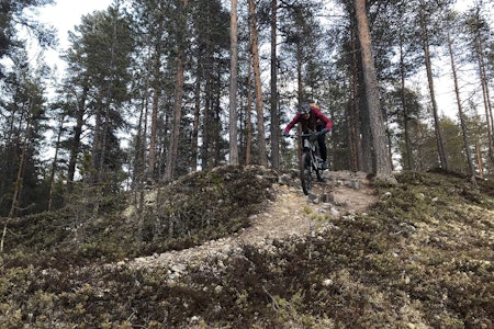 SESONGSTART PÅ RØROS: Flere av stiene i Mølmannsdalen på Røros er frie for snø. Foto: Privat SESONGSTART PÅ RØROS: Flere av stiene i Mølmannsdalen på Røros er frie for snø. Foto: Privat