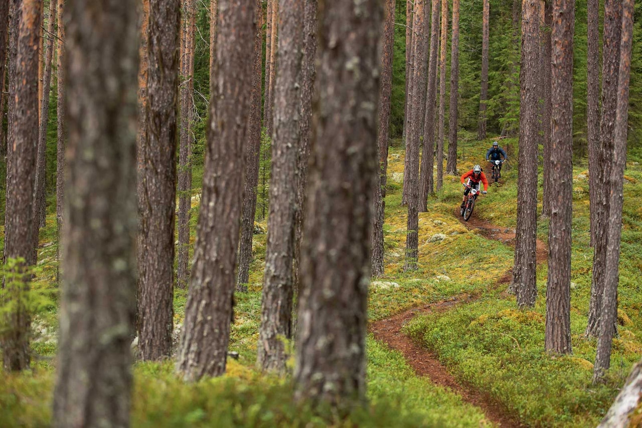 endurotrening enduro endurosykling