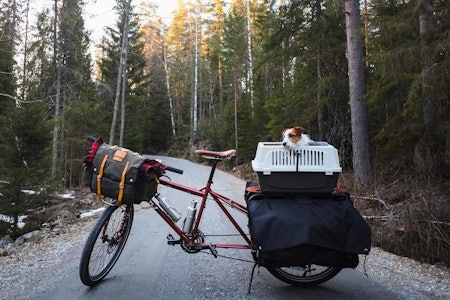 ENKEL UTFLUKT? Artikkelforfatter Mikkel S. Bølstad begynner å tvile på egne friluftsråd. Foto: Mikkel Soya Bølstad bikepacking påske korona nærmiljø