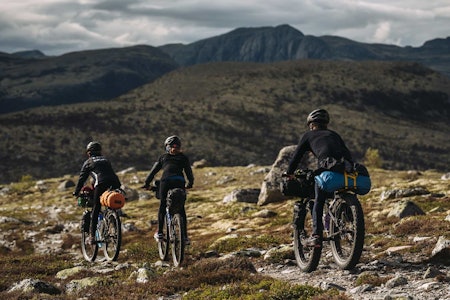 FELLESTUR: Av og til er det bedre å dele opplevelsene med andre. Foto: Mikkel Soya Bølstad. FELLESTUR: Av og til er det bedre å dele opplevelsene med andre. Foto: Mikkel Soya Bølstad.