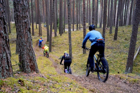 TIDLIG PÅ: Stisyklistene i Ringebu har mange stier å boltre seg på selv om snøen ligger oppe på fjellet. Foto: Julia Hamre stisykling ringebu frya