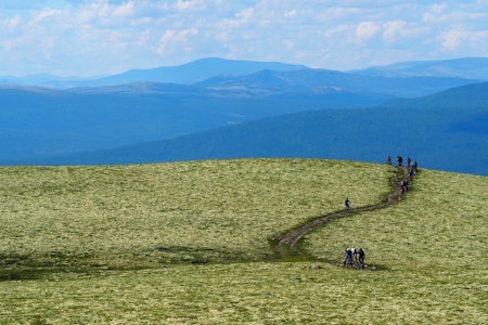 I fjor utvidet Livestock sykkeltilbudet på festivalen med base i Alvdal. I år er interessen i forkant allerede mer enn doblet sammenliknet med i fjor. Foto: Audun Lutnæs I fjor utvidet Livestock sykkeltilbudet på festivalen med base i Alvdal. I år er interessen i forkant allerede mer enn doblet sammenliknet med i fjor. Foto: Audun Lutnæs