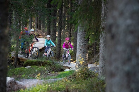 KLARE FOR BESØK: Etter en trøblete vinter er Trysil nå på vei mot sykkelsesong. Turistsjefen håper stisyklistene kommer på besøk. Foto: Jonas Hasselgren / Destinasjon Trysil stisykling sommer trysil