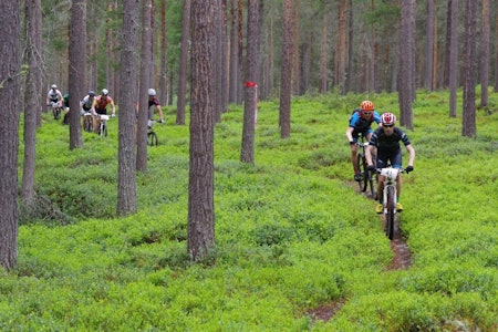 Trans-Østerdalen er første etapperitt i Norgescupen og også siste oppkjøring før EM maraton 6. juli. Foto: Per Inge Sagmoen