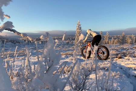 MAGISK STEMNING: Kalde og fine forhold for sykling på Røros. Foto: Maren Todal stisykling fatbike røros vintersykling
