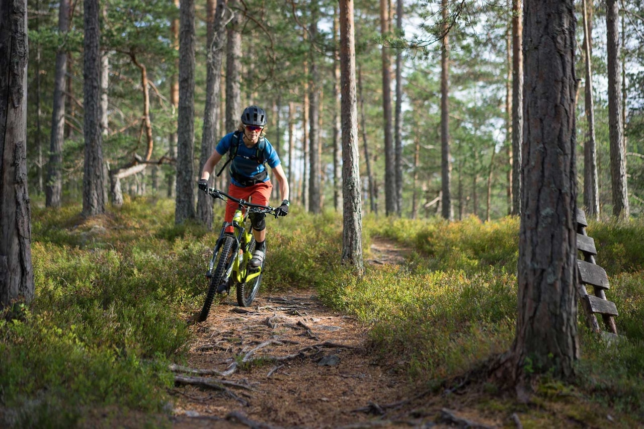 SER MULIGHETER: Inger Helene Hamborg i selskapet SilverTrails vil vise frem Kongsberg til stisyklister. Foto: Joar Sørvik Solem