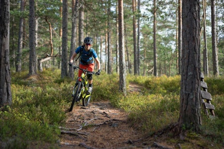SER MULIGHETER: Inger Helene Hamborg i selskapet SilverTrails vil vise frem Kongsberg til stisyklister. Foto: Joar Sørvik Solem SER MULIGHETER: Inger Helene Hamborg i selskapet SilverTrails vil vise frem Kongsberg til stisyklister. Foto: Joar Sørvik Solem