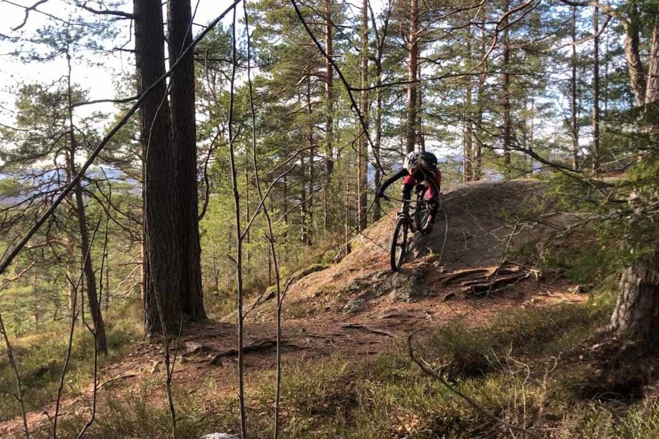 FINE FORHOLD: Anette R. Bastnes melder om fine forhold i Østmarka i Oslo. Foto: Privat.  FINE FORHOLD: Anette R. Bastnes melder om fine forhold i Østmarka i Oslo. Foto: Privat.