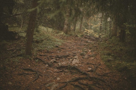 DEN KALDE, VÅTE TIDA: Det er lettere å si at høst er kult, enn at det er kult. Foto: Kristoffer H. Kippernes kommentar høst sykling