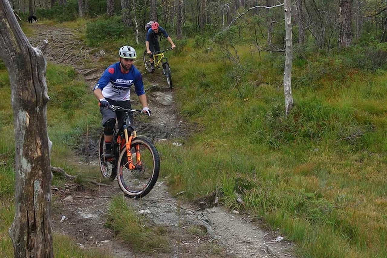 SLITASJE: Forskerne i NINA har sett på hva stisykling gjør av slitasje i norsk terreng. Foto: Marianne Evju/NINA stisykling slitasje NINA undersøkelse