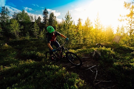 Sykling på Kaupanger skal ikke markedsføres bredt som et reiselivsprodukt men et tilbud til lokale stisyklister. Foto: Bård Basberg Sykling på Kaupanger skal ikke markedsføres bredt som et reiselivsprodukt men et tilbud til lokale stisyklister. Foto: Bård Basberg