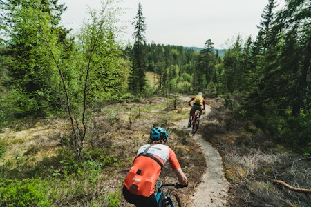 DYPT INNE I NORDMARKA: Har du ikke vært på Vindernhøgda med stisykkel, så anbefaler vi et besøk på det varmeste. Bilde: Christian Nerdrum stisykling nordmarka tips oslo