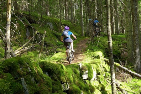 Skal NOTS nedfelle det å rekruttere til terrengsykling i sine vedtekter? Det er ett av punktene på Årsmøtet 17.mars. Foto: Espen Unneberg NOTS GodTurGuiding i Østmarka