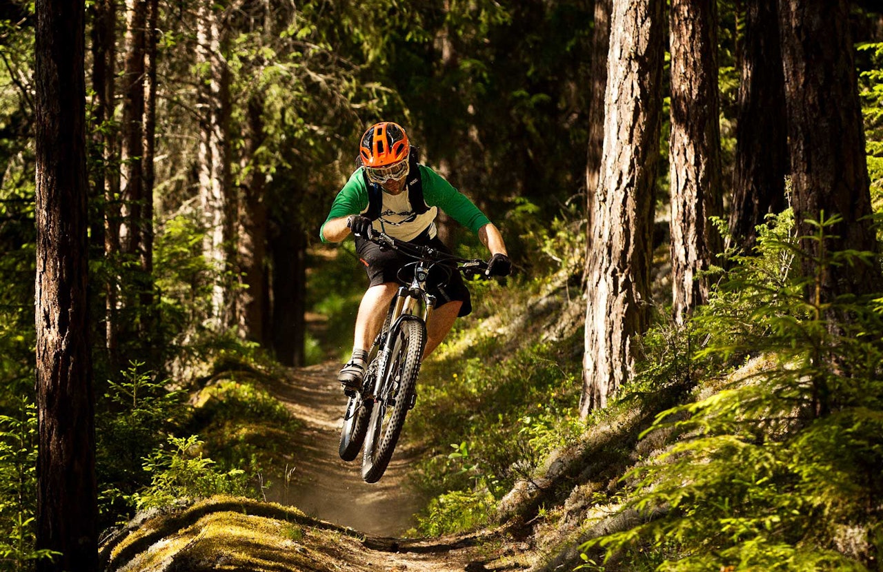 Ove Grøndal er lommekjent på stiene i Nesbyen. Her på et av de mange flytpartiene på barskogunderlag. / Stisykling i Norge. stisykling i hallingdal, trailguide, nesbyen, geilo, gol