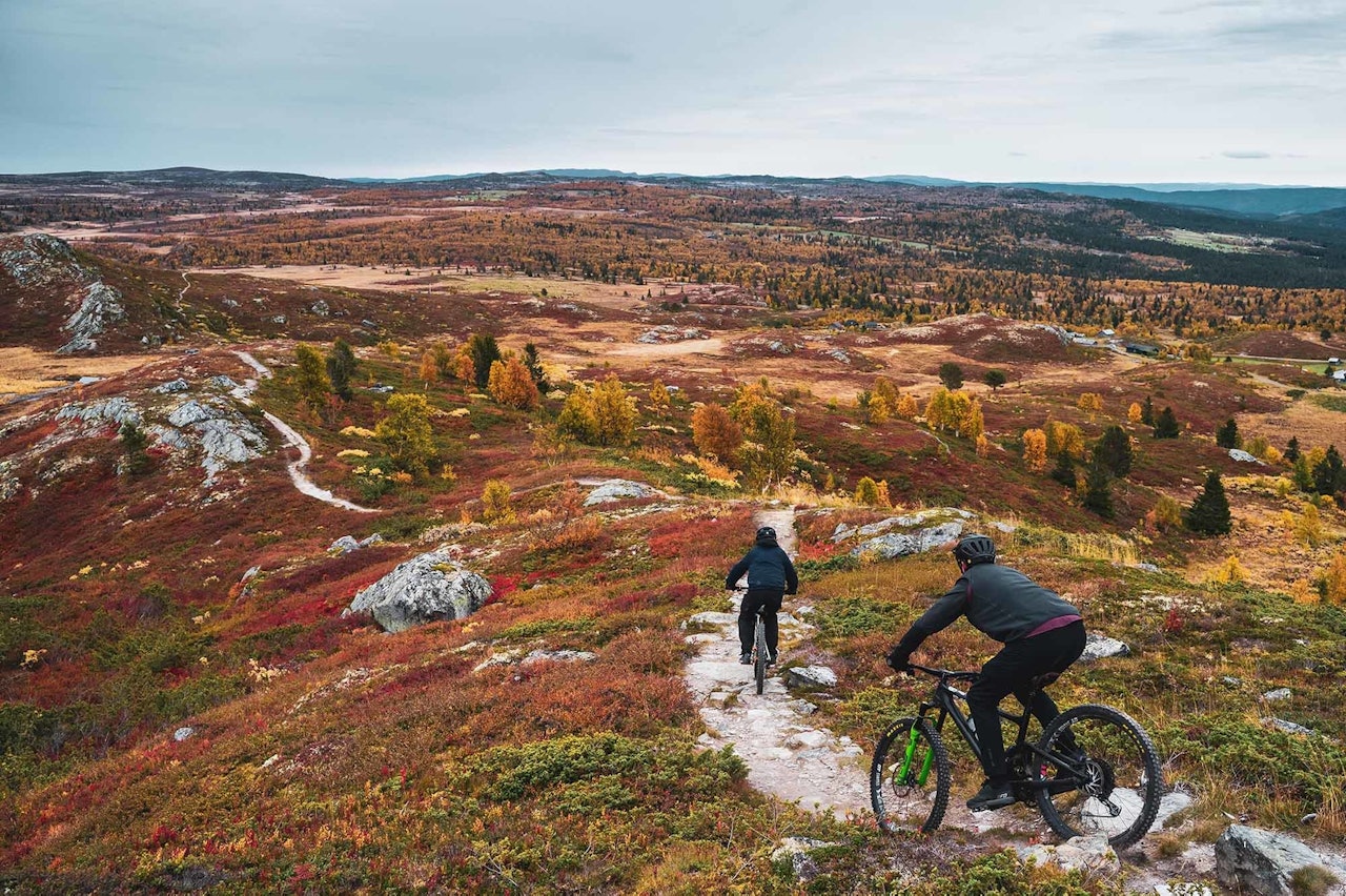 KJENT GRUNN: Makken har et nært forhold til Ål og syklinga der. Foto: Lars Storheim stisykling makken ål hallingdal
