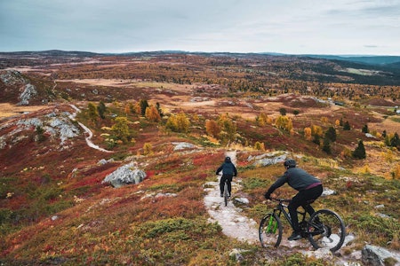KJENT GRUNN: Makken har et nært forhold til Ål og syklinga der. Foto: Lars Storheim stisykling makken ål hallingdal