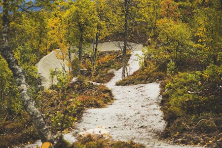 DOSERINGSHIMMEL? Antallet doseringer i Hallingdal har skutt i været de siste årene, og den nye stien på Geilo blir en sterk bidragsyter. Foto: Kristoffer H. Kippernes ny sti geilo vestlia