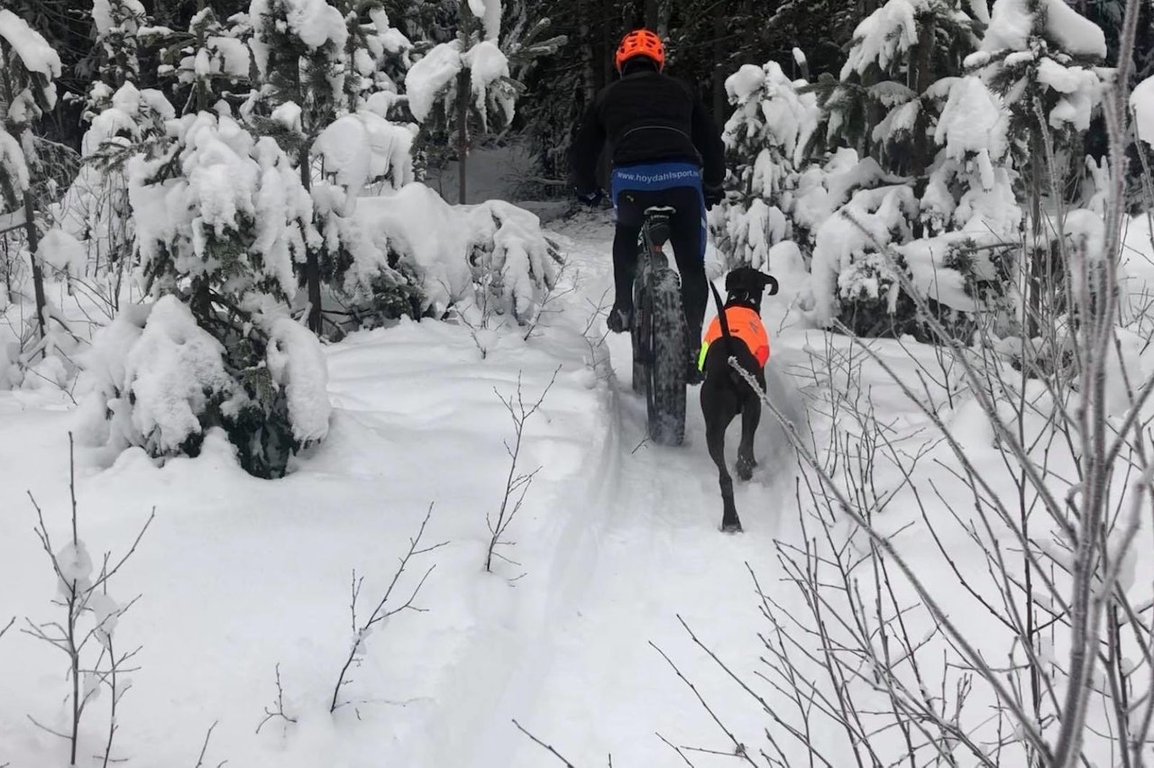 Nyttårsrittet i Drammensmarka arrangeres for første gang på tirsdag. Foto: Jon Henrik Handley Nyttårsrittet i Drammensmarka arrangeres for første gang på tirsdag. Foto: Jon Henrik Handley