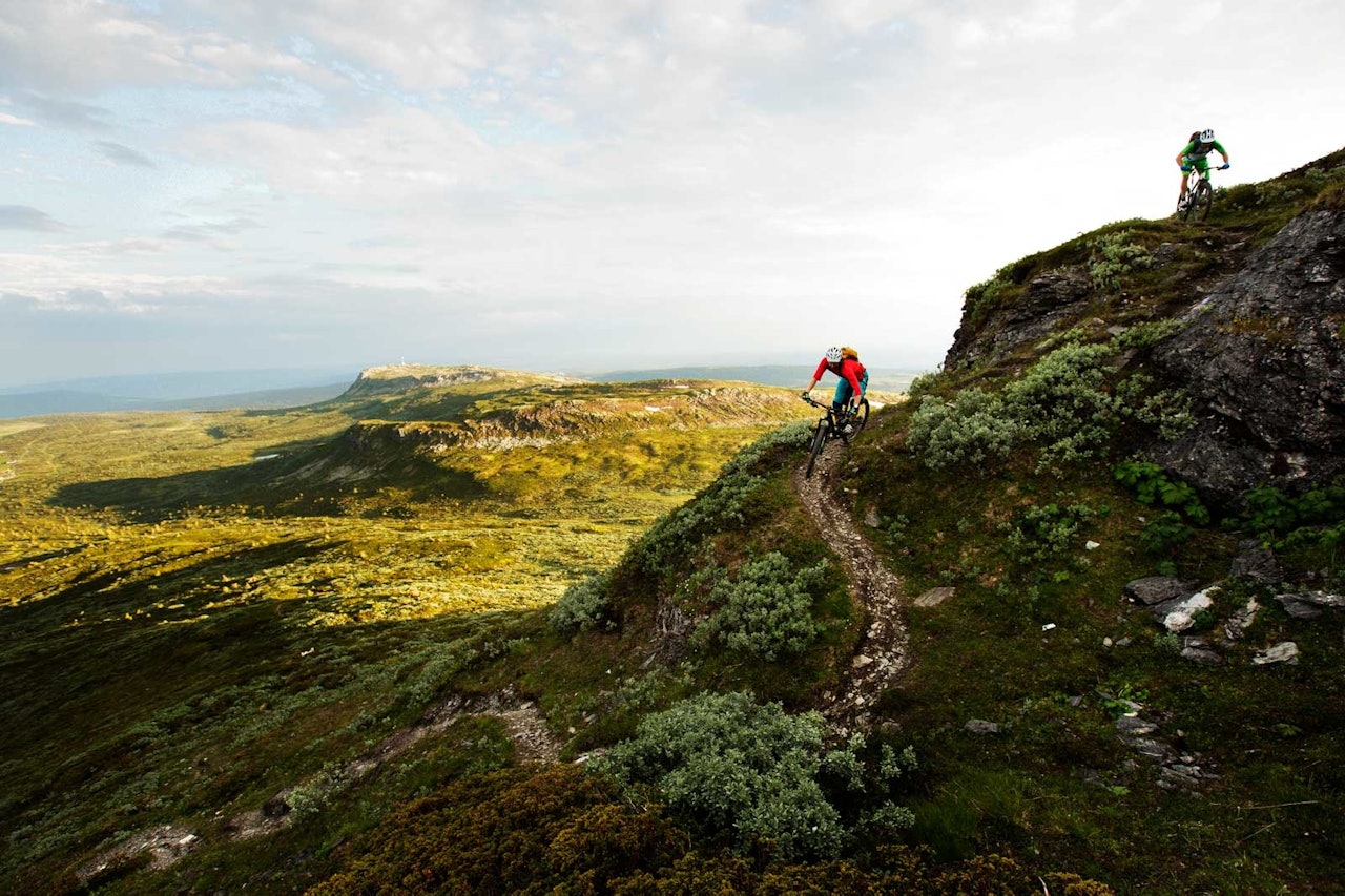 SKEIKAMPEN: Fra Prestkampen får Sverre Eckhoff og Mathias Marley utsikt til stiene over Slagsfjella i bakgrunnen. Foto: Kristoffer Kippernes Stisykling på skeikampen, stisykling i norge