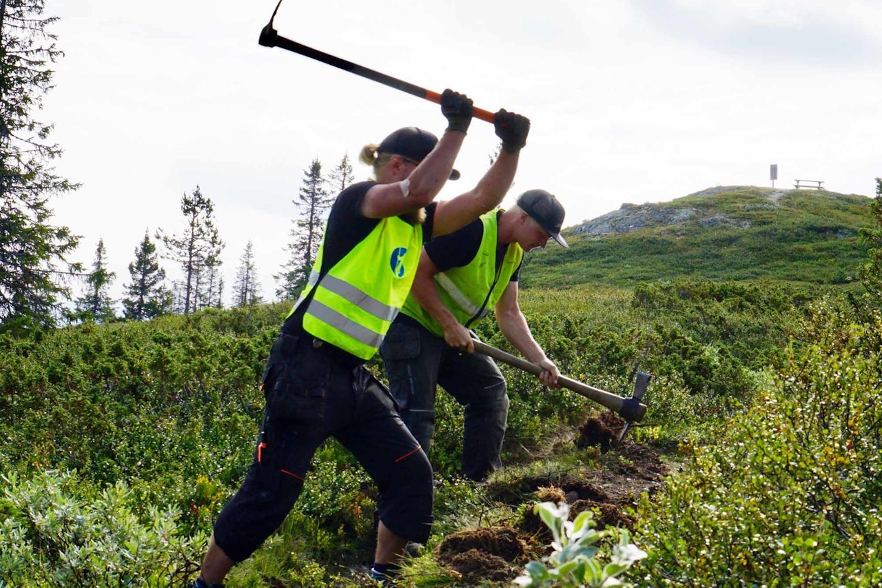 BÆREKRAFTIG SYKKELSTI: På Golsfjellet har flere av stiene blitt oppgradert av stibyggere. Foto: Hallingdal Rides stibygging stisykling golsfjellet hallingdal