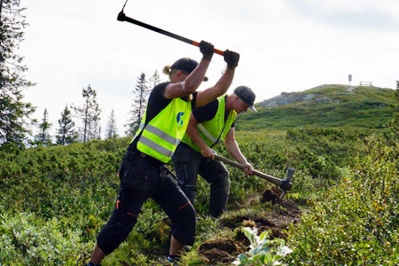 BÆREKRAFTIG SYKKELSTI: På Golsfjellet har flere av stiene blitt oppgradert av stibyggere. Foto: Hallingdal Rides stibygging stisykling golsfjellet hallingdal