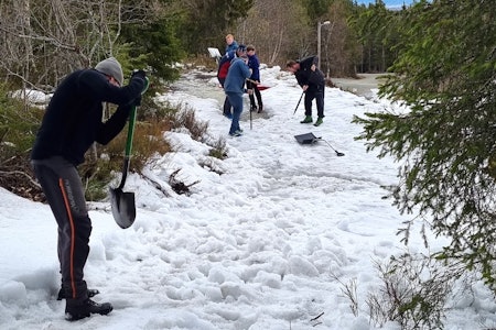 DUGNAD: Det var vesentlige snømengder som måtte måkes unna for å kunne åpne tre stier i Nilsbyen terrensykkelpark i Trondheim denne helga. Foto: Gjermund Jakobsen Dugnad i Nilsbyen terrensykkelpark Trondheim mai 2021