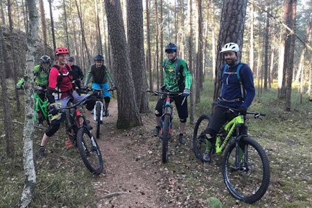 Stisyklistene på Ljanskollen er i høst blitt møtt med skilt om sykkelforbud på stiene i området. De skiltene er ulovlige, sier NOTS. Foto: Aslak Mørstad