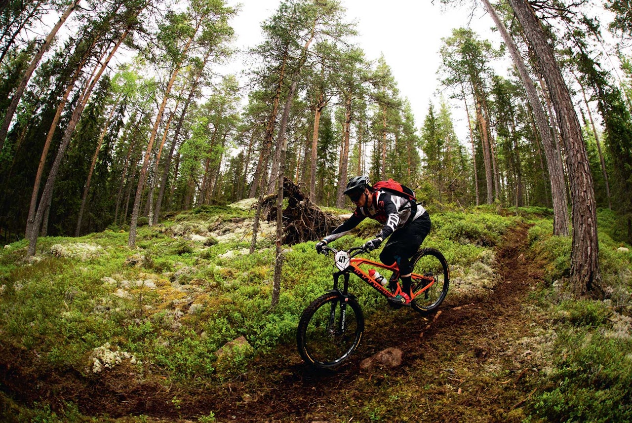 RASKE STIER: Stiene rundt Traktor Bikepark på Hadelan byr på både høy fart og tekniske partier. RASKE STIER: Stiene rundt Traktor Bikepark på Hadelan byr på både høy fart og tekniske partier.
