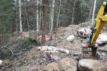 Nå er gravingen i gang med den 15 kilometer lange traséen som skal gå fra Nesfjella til Nesbyen sentrum, og som vil bli Nordens lengste sti av sitt slag. Foto: Ove Grøndal Nå er gravingen i gang med den 15 kilometer lange traséen som skal gå fra Nesfjella til Nesbyen sentrum, og som vil bli Nordens lengste sti av sitt slag. Foto: Ove Grøndal