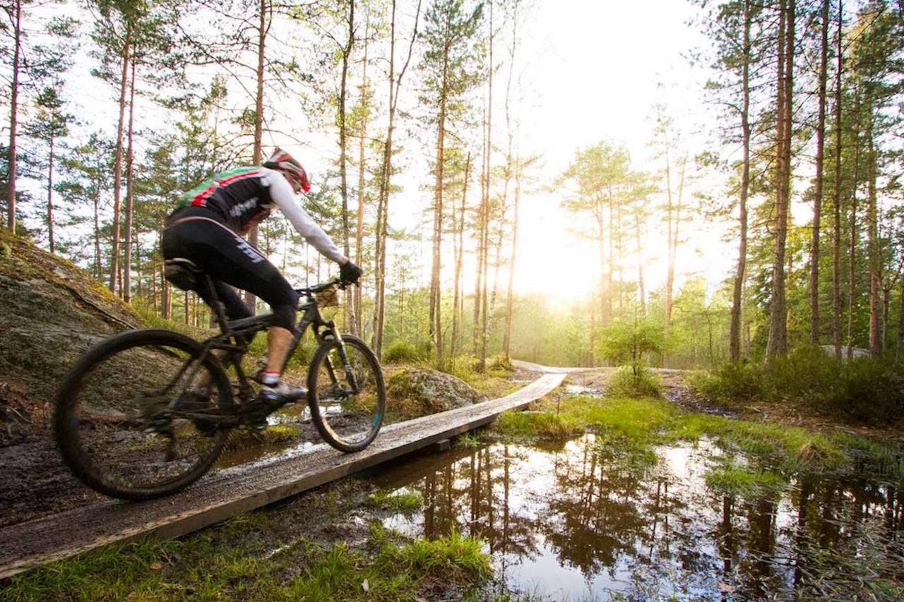 IF Frøy er tildelt prisen Årets Idrettslag i Oslo, blant annet for klubbens tilrettelegging for sykling i marka. Foto: Snorre Veggan IF Frøy er tildelt prisen Årets Idrettslag i Oslo, blant annet for klubbens tilrettelegging for sykling i marka. Foto: Snorre Veggan