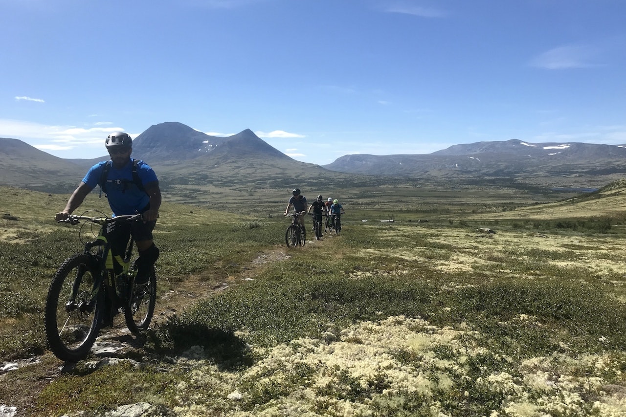 Guidede turer på Alvdals unike stinettverk står på programmet både lørdag og søndag under Livestock sykkelfilmfestival kommende helg. Foto: Audun Lutnæs sykkelfestival alvdal
