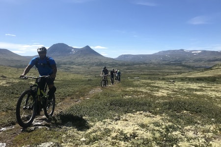 Guidede turer på Alvdals unike stinettverk står på programmet både lørdag og søndag under Livestock sykkelfilmfestival kommende helg. Foto: Audun Lutnæs sykkelfestival alvdal