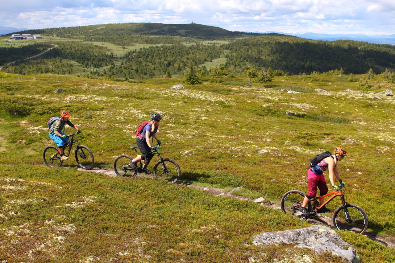 Turalternativene i Øyerfjellet og Birkenland er mange. Øyvind Wold presenterer 35 av dem i sin nye bok «35 sykkelturer i verdens beste skiterreng - Hafjell – Øyerfjellet – Nordseter – Sjusjøen». Foto: Øyvind Wold Turalternativene i Øyerfjellet og Birkenland er mange. Øyvind Wold presenterer 35 av dem i sin nye bok «35 sykkelturer i verdens beste skiterreng - Hafjell – Øyerfjellet – Nordseter – Sjusjøen». Foto: Øyvind Wold