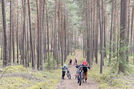 SYKKELSESONGEN I GANG: Ivrige syklister i Ringebu ute og tester hjulene på snøfrie stier. Foto: Gerben Baan.  stisykling ringebu