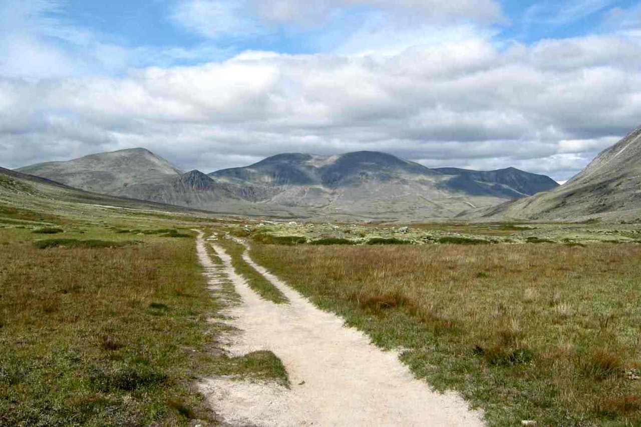 Rondane er en av fastlands-Norges 40 nasjonalparker der det kan åpnes for sykling. Derfor skal det forskes på slitasje fra sykling. Foto: Wikimedia