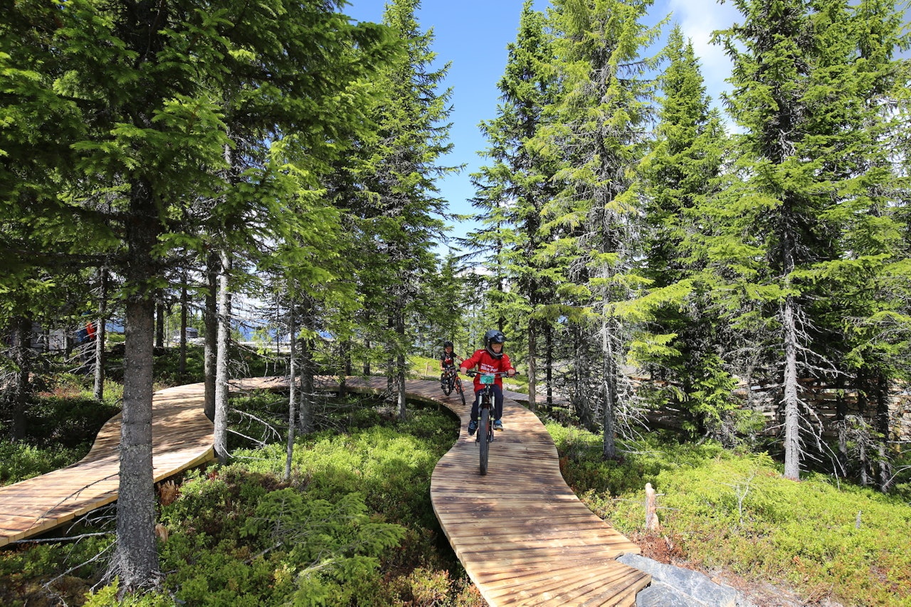 Fra barneløypa på Mosetertoppen. Dette er ett av sykkeltilbudene som skal videreutvikles når Hafjell setter i gang med sin storstilte satsing på å utvikle Hafjell som helårsdestinasjon neste år. Foto: Alpinco AS  Fra barneløypa på Mosetertoppen. Dette er ett av sykkeltilbudene som skal videreutvikles når Hafjell setter i gang med sin storstilte satsing på å utvikle Hafjell som helårsdestinasjon neste år. Foto: Alpinco AS