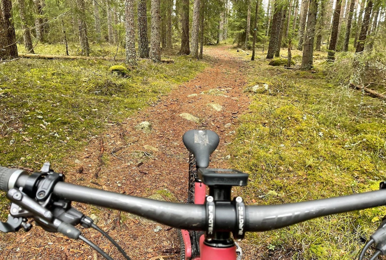 BARMARK: For to uker siden var det fatbike og pigger som gjaldt her. Nå er våren kommet i Sørmarka. Foto: Trond Dyrnes Vårsyklling stisykling Sørmarka