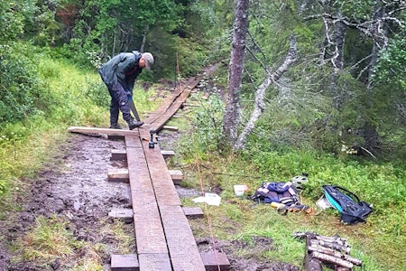 NOTS Trondheim har allerede fått over 500 meter materialer til klopping, og nå skal kommunen også levere stein til videre utbedring av populære stier.  NOTS Trondheim har allerede fått over 500 meter materialer til klopping, og nå skal kommunen også levere stein til videre utbedring av populære stier.