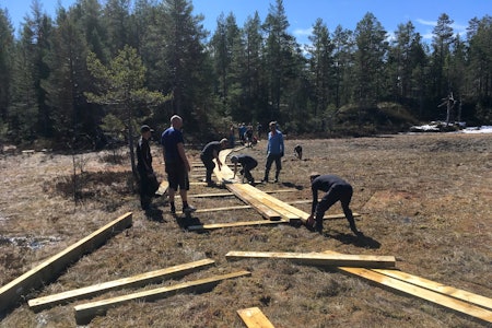 Det ble lagt 80 meter klopp på Langemyr i løpet av få timer da dugnadsgjengen skred til verket første helga i mai. Foto: Simen Filseth Det ble lagt 80 meter klopp på Langemyr i løpet av få timer da dugnadsgjengen skred til verket første helga i mai. Foto: Simen Filseth