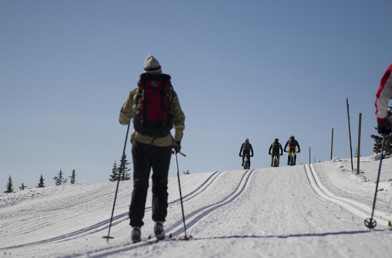 birken birkebeinerrittet ultrabirken