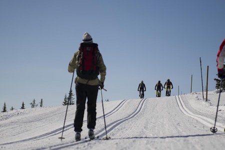 Birkebeinerløypa på fatbike har potensial til å trekke mange hundre deltakere allerede første året, mener Tor Halvor Bjørnstad-Tuveng. Foto: Henrik Alpers birken birkebeinerrittet ultrabirken