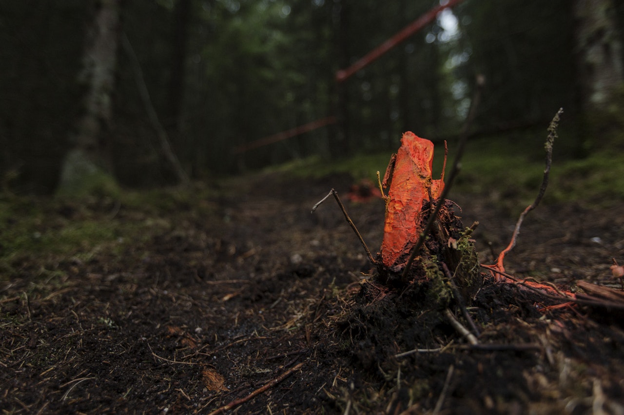 BILDER TELEMARK ENDURO 2017: Det ble en sesongstart som vi håpet på - se bildene fra Terrengsykkel og Telemark Enduro 2017. Foto: Kristoffer H. Kippernes bilder bildereportasje telemark enduro 2017
