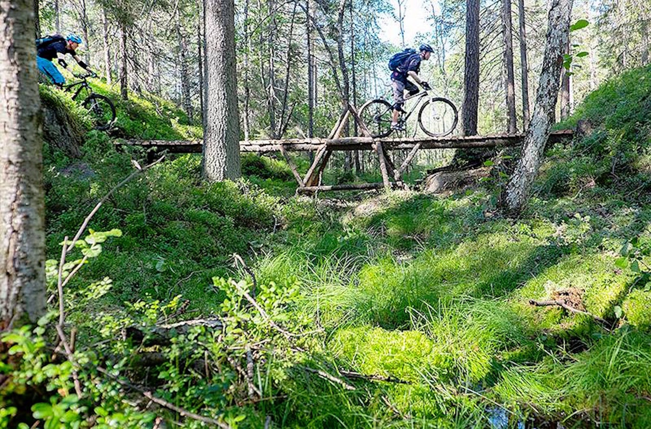 NOTS jobber for retten til å sykle på sti i utmark, men nå kan halve medlemsmassen forsvinne på et blunk: 600 av de 1300 medlemmene har ikke betalt kontingent for 2015. Foto: NOTS