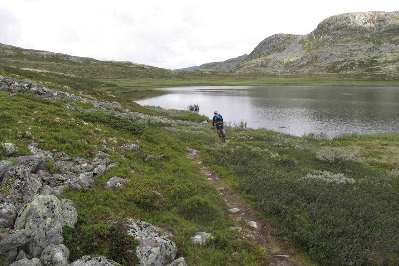 Hardbarka Enduro MTB kjøres for første gang helga 1.-2. oktober, og Hemsedal har nok av terreng å ta av når etappene skal legges. Foto: Arrangøren Hardbarka Enduro MTB kjøres for første gang helga 1.-2. oktober, og Hemsedal har nok av terreng å ta av når etappene skal legges. Foto: Arrangøren