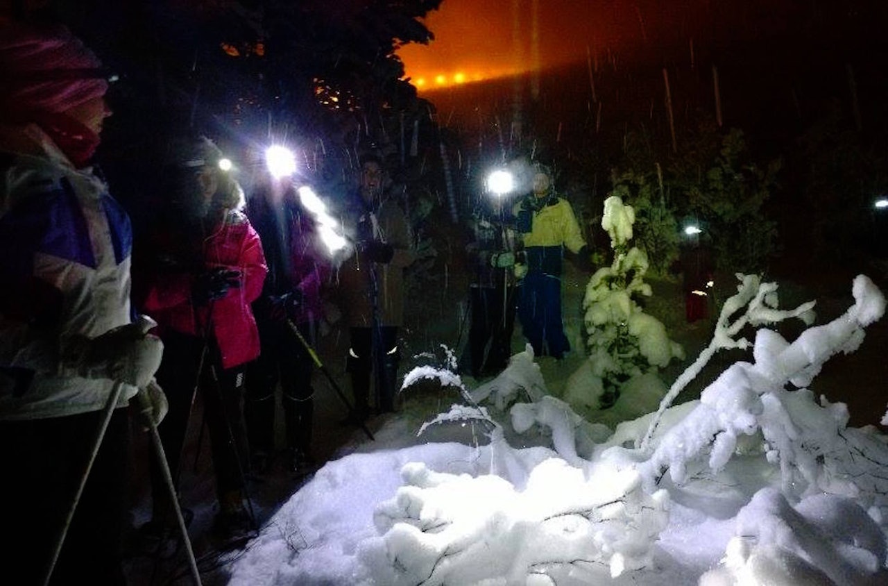 Trugeturistene til Nina Gässler får i pose og sekk: Både en flott opplevelse, og så går de opp fatbikespor for syklistene i samme slengen. Foto: Nina Gässler Trugeturistene til Nina Gässler får i pose og sekk: Både en flott opplevelse, og så går de opp fatbikespor for syklistene i samme slengen. Foto: Nina Gässler